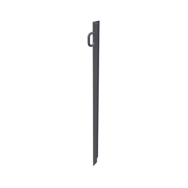 Guy Stake